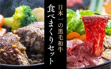 モモ・ロースすき焼き肉（500g）＆豊後牛ハンバーグ（9個）贅沢セット