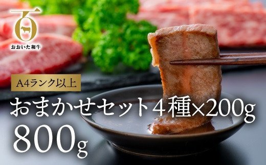 片桐さんのおまかせ焼肉セット（計800g）「おおいた和牛」