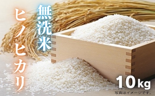 無洗米10kg（ヒノヒカリ）