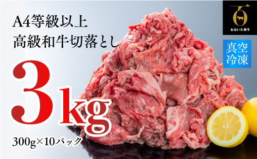 片桐さんの切り落とし（3kg）「おおいた和牛」