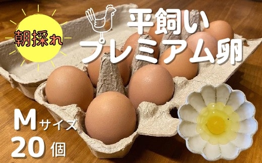 朝採れ！平飼いプレミアム卵 (Mサイズ20個）