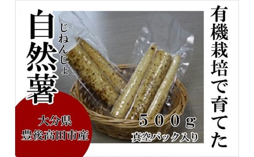 【先行予約】自然薯（真空パック）500g