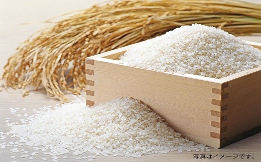 【無洗米】米2合（真空パック）×10袋（計3kg）